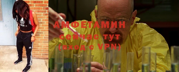 прущие грибы Абаза