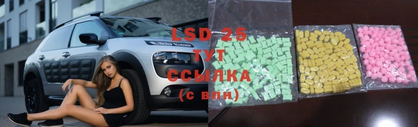 прущие грибы Абаза