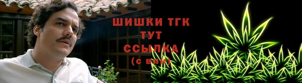 прущие грибы Абаза