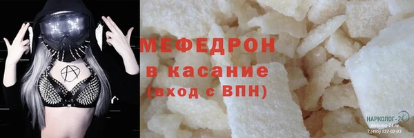 прущие грибы Абаза