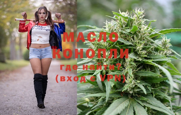 прущие грибы Абаза