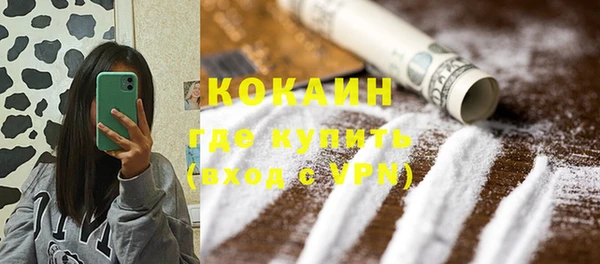 прущие грибы Абаза