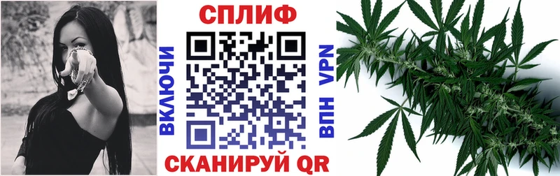 Канабис семена  Карабаново 