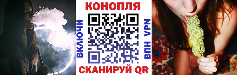 Шишки марихуана OG Kush Карабаново